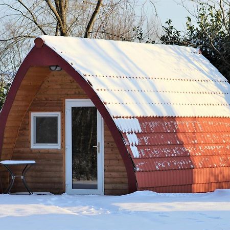 Luxe Eco Pod Op Camping De Stal Drijber Eksteriør billede